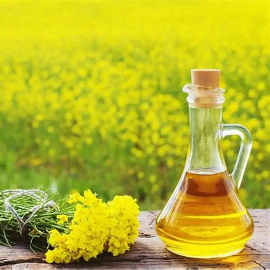 Organic Canola Oil