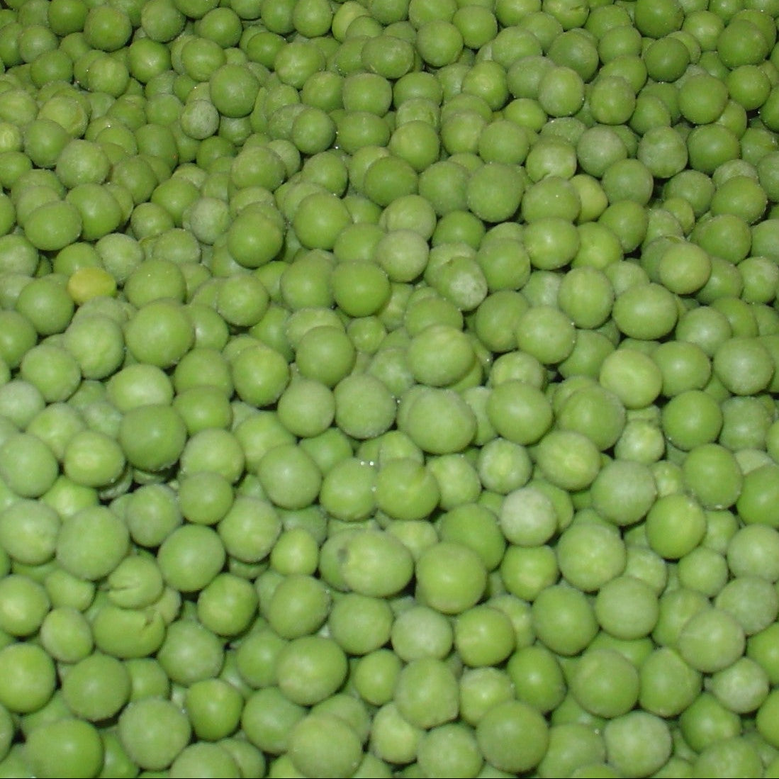 Sno-Pac Frozen Peas