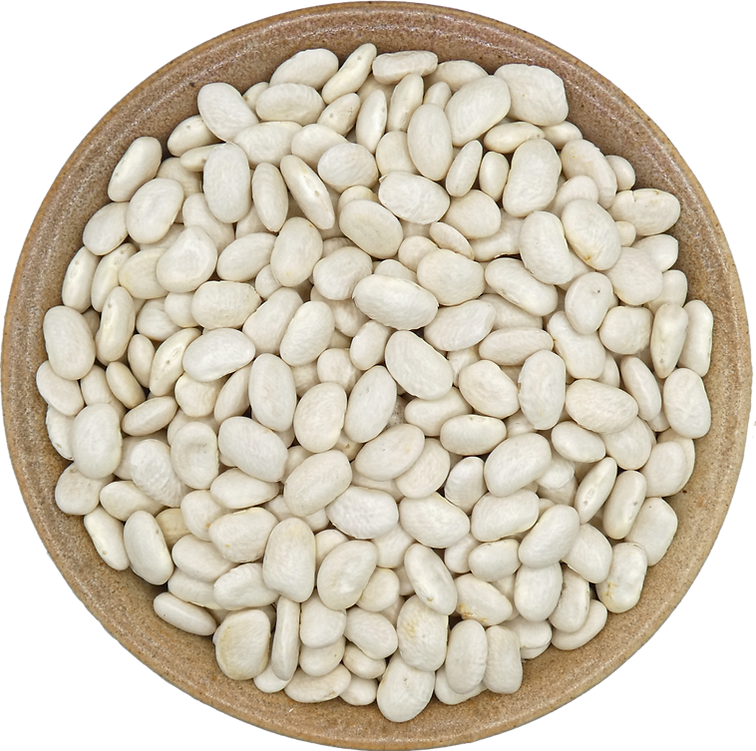 Dry Great Northern Beans