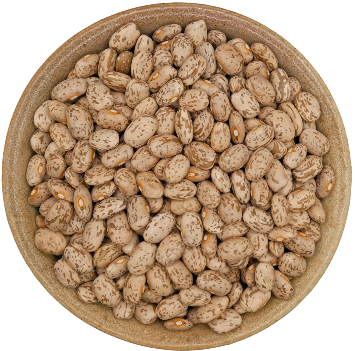 Dry Pinto Beans