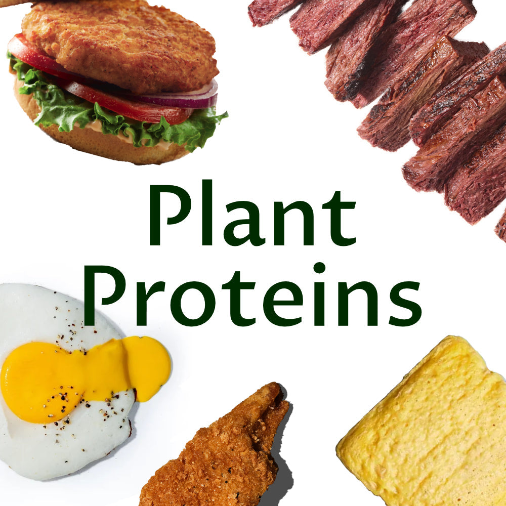 Plant Proteins