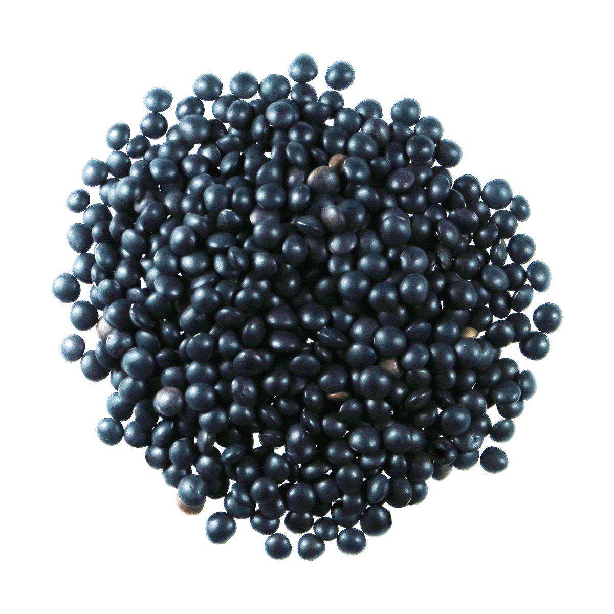 Organic Black Lentils