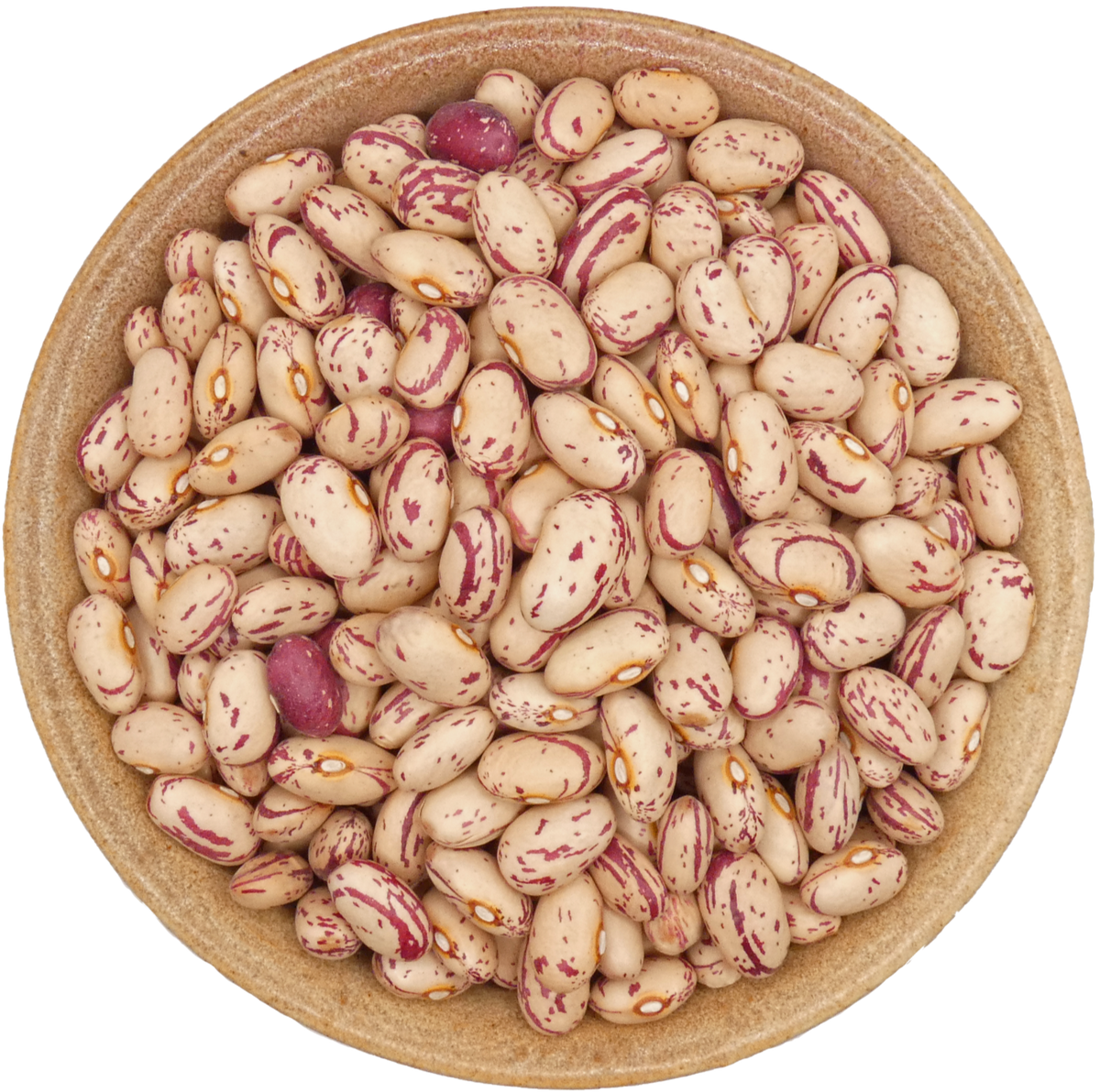 Cranberry Beans