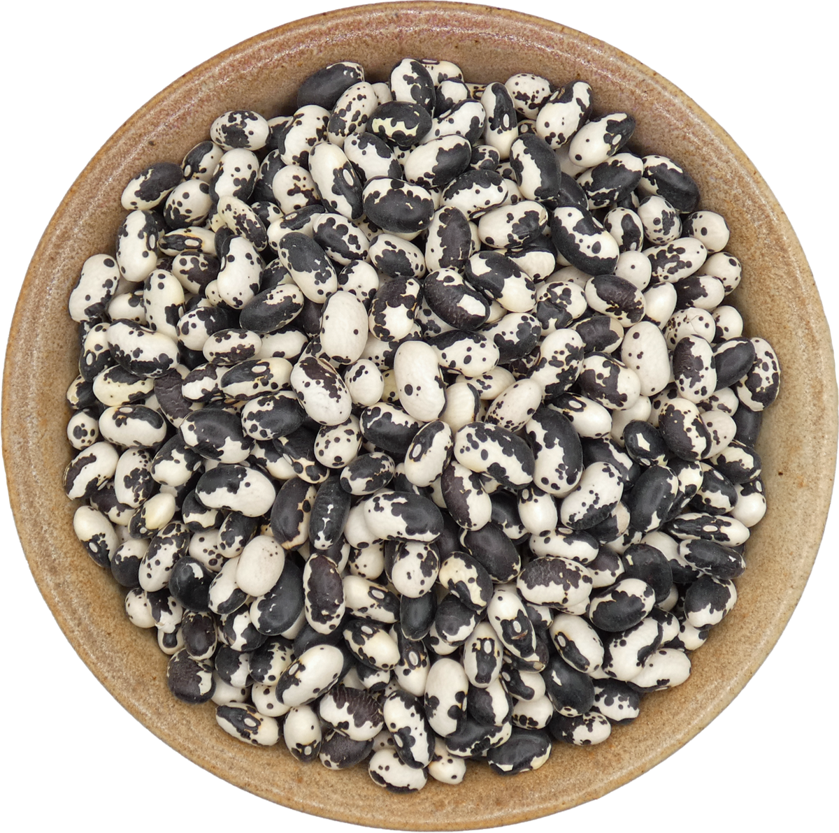 Dry Orca/Anasazi Beans