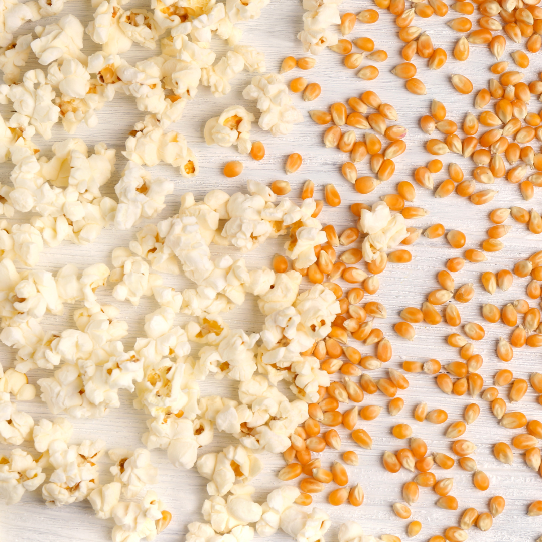 Organic Popcorn - White or Yellow