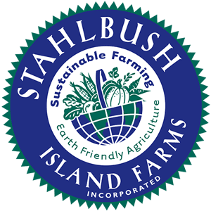 Stahlbush Island Farms Blueberry Puree - Bulk Size
